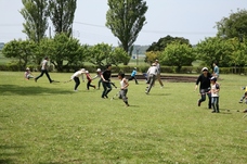 IMG_0871 (800x533).jpg