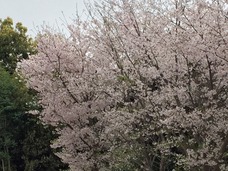 IMG_3899.jpg
